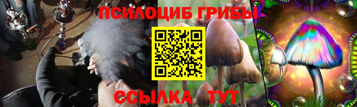 Псилоцибиновые грибы GOLDEN TEACHER Урай